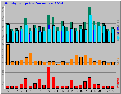 Hourly usage for December 2024 Hourly usage for December 2024